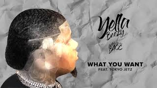 Watch Yella Beezy What You Want feat Tokyo Jetz video