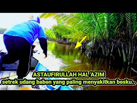 Tarikan keras yang sangat Paling menyakitkan dari Sang Babon Udang galah#19