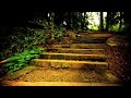 Portugal.The Man - Sleep Forever [Nature Video]