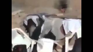 Davul Zurna Efsane Şov