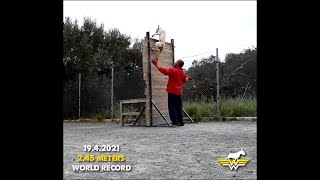 Working Bull Terrier , World Record 2,45 M