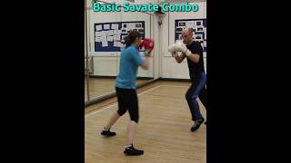 Basic Savate Combo