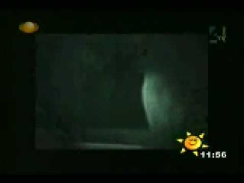 FANTASMA EN PORTUGAL fantasma en portugal: