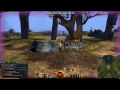Gw2 Warrior Mace Shield Greatesword Wvw Solo images Gw2 Warrior Mace Shield Greatesword Wvw Solo