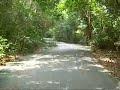 Cyling In Pulau Ubin