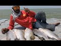 Mangrove fishing part 2 complet video | جوار پانی میں ڈانگری مچھلی کا بھترین شکار #Shakeelfishingfun