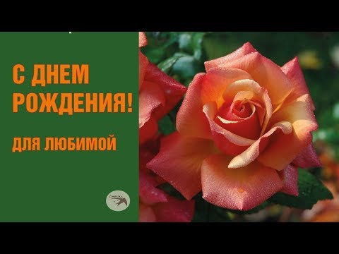 Поздравления с днем рождения жене на ютубе 42