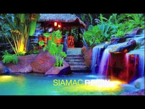 Siamac Trance 2013 Remix - Buuren vs Tiesto