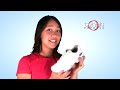 Lacoste Repel Women's Tennis Shoe - Tennis Express Shoe Guide
