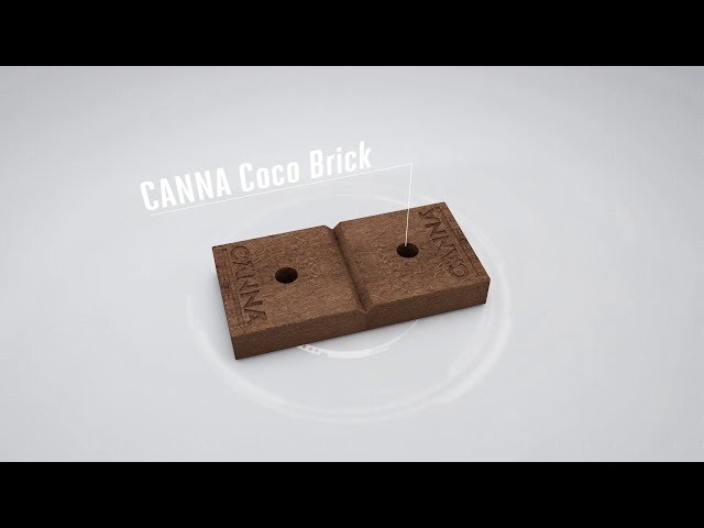 Watch (Français) CANNA Coco Brick on YouTube.