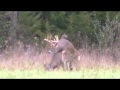 Hunter Waits Until Buck Breeds Doe -- Deer & Deer Hunting Video