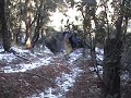 Video la passio du taz
