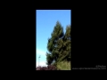 Three UFOs Flying in the sky in California, United States | Oct 13 2014
