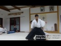 【Aikido】Shirakawa Ryuji sensei ‐ Kotegaeshi in Hungary