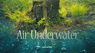 Air Underwater - Whispered Secrets Of Nature - Wind Chimes & Rainstick - Pea Spirit Animal
