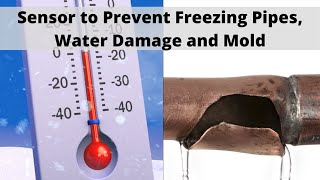 The Best Temperature and Water Sensor to Prevent Property Damage - The AWSAM TWS