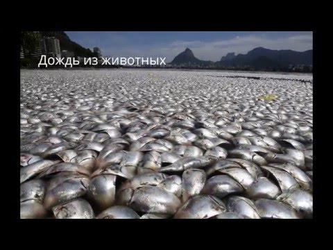 Как образуется дождь? Как образуется дождь?