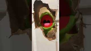 Elmo And Kermit Break The Door Open