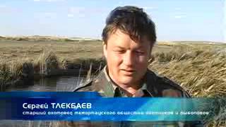 прогнозы рыбалки в темиртау прогнозы рыбалки в темиртау