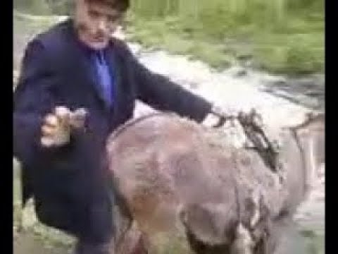 Узбекское Порно С Ишаком