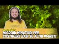 Microbi minatori per costruire basi su altri pianeti