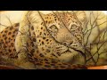 African Leopard Scrimshaw demo by David Adams