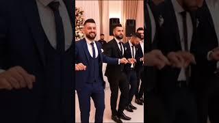 Yakışıklı Kürt Erkekleri Halayı
