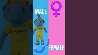Sesame Street Genderswap Edit Shorts Elmo Cookie Monster Big Bird Bert Kermit The Frog
