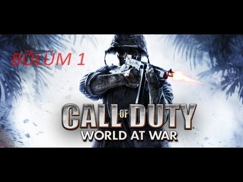 Call Of Duty World At War Common.Ff