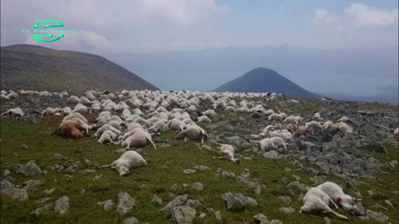 Гора абул ахалкалаки высота