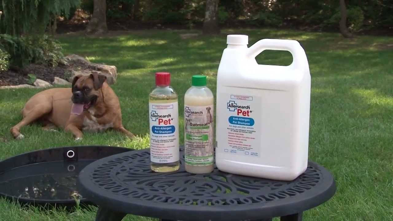 Shampoo your dog with Pet ™ or Pet Oatmeal™ watch v=cm4iz14szcq