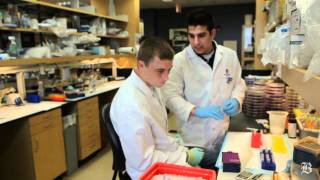 CmL8iJslBxw Video Image