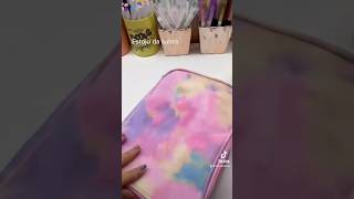 Organizando Meu Estojo De 100 Pens Com Vocês