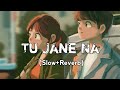 Tu Jaane Na [Slow+Reverb]- Atif Aslam | Love Lyrics