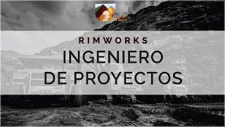 ¿Qué hace un Ingeniero de Proyectos? - RIM Works