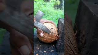 How Cool It Is To Open A Coconut