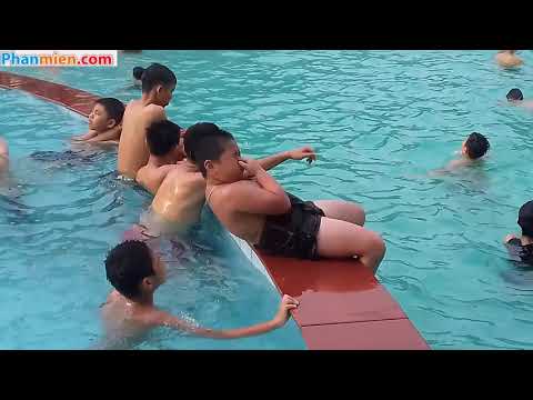 Bể Bơi Thủy Tiên Của Phan Miền