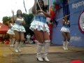 Cachiporras INSAB lmb