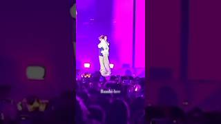The Cutest Thing I Have Seen