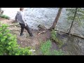Yellowstone National Park Part 2 - Leaping the Rapids