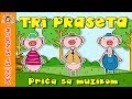 Tri praseta | Pevaj Sa Sandrom | Sing With Sandra | Dečije priče | Dečije pesme