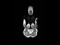 Angela Palmer - Artist | MRI scan art video
