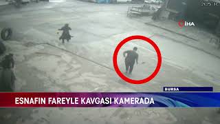 Esnafin Fareyle Kavgasi Kamerada
