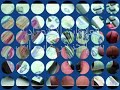 سكس أوسياسة الاتنين فيهم كدب