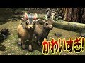 新恐竜がかわいすぎる!! かわいすぎてヤバ恐竜を第二階層でテイム!! 新MAPで恐竜サバイバル #46 - ARK Survival Evolved