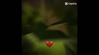 CnZAVq4DiT4 Video Image