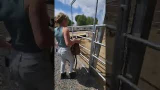 My Non-Horsey Cousin Rides My Horse For The First Time
