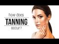 Sun tanning and it’s process | Sun Tanning Tips