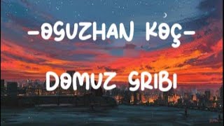 Oğuzhan Koç - Domuz Gribi (lyrics)