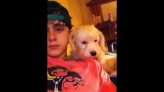 To My Little Brother Dawson Miller Recover Quickly We Love You